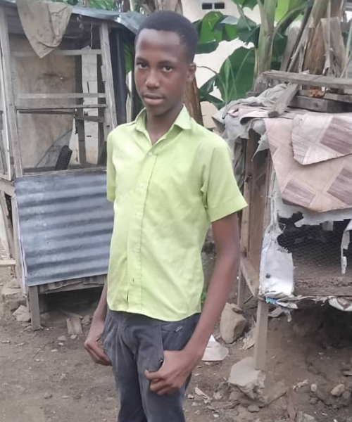 Mercy - Male, 13 years